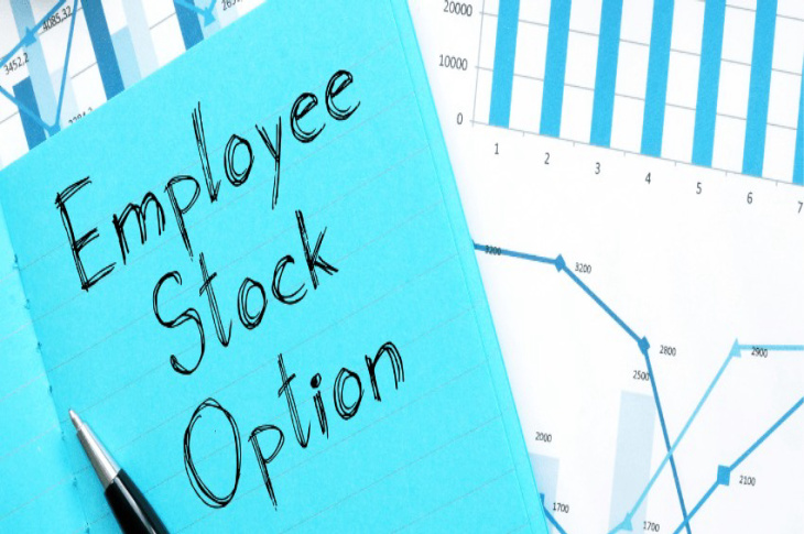 Employee Stock Option Plan (ESOP) Under the Companies Act 2013: A Complete Guide